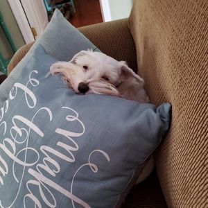 Meet your Posher, Sheila